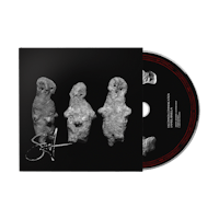 a black and white cd with three skulls on it